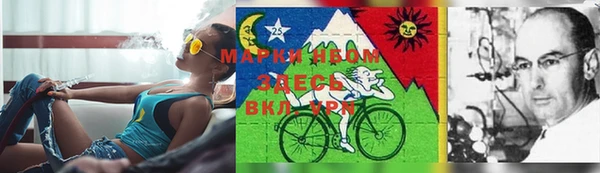 молекула духа Алексеевка