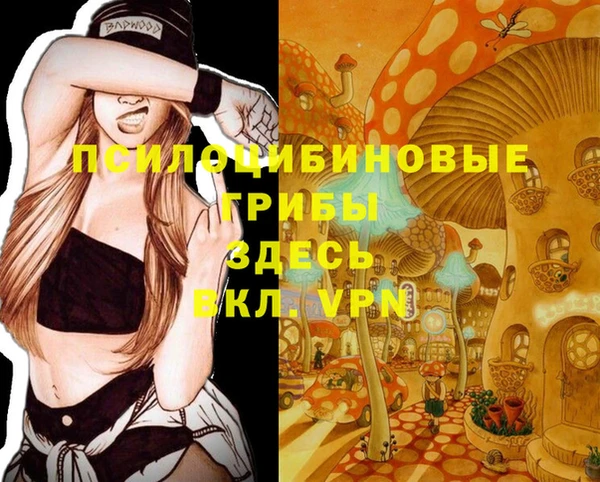 прущие крисы Алзамай