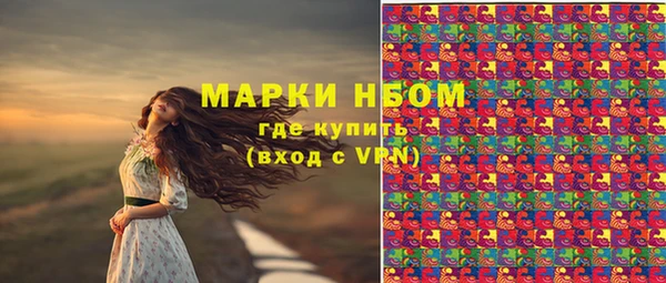 молекула духа Алексеевка