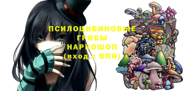 спиды Алексин