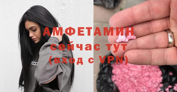 молекула духа Алексеевка