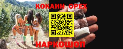 крисы Кузнецк