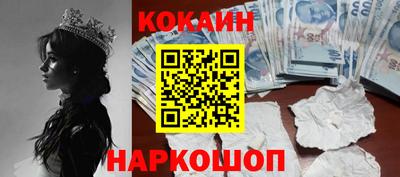 крисы Кузнецк