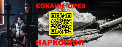 крисы Кузнецк