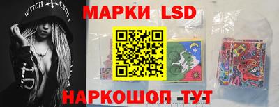 apvp Кудрово