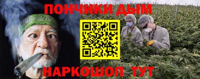 apvp Кудрово