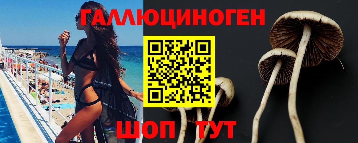 Галлюциногенные грибы мицелий  Галлюциногенные грибы Psilocybe  Ачинск  Вход с VPN 